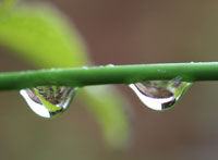 World Water Day （世界水日）