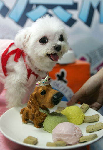 Ice cream parlour for canines