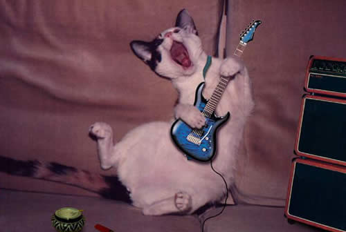 I'm a rock-n-roll star!