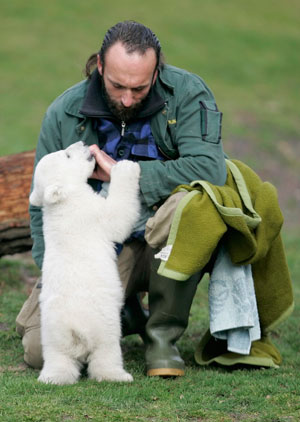 Berlin zoo employee Thomas Doerflein plays with polar bear cub Knut during the bear's first presentation in Berlin zoo, March 23, 2007. 