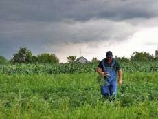 Community grocery brings affordable healthy food to inner city