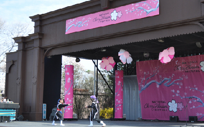 Washington hosts annual Japanese Cherry Blossom Festival