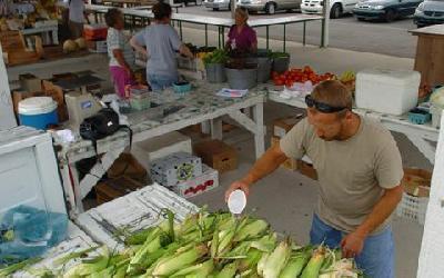 Hot in the garden: too much sun can harm vegetables