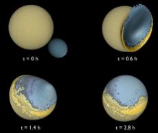 All about fireflies and possible liquid water on Mars