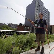 Chicago architect Jeanne Gang named MacArthur Fellow for her‘Striking Structures’