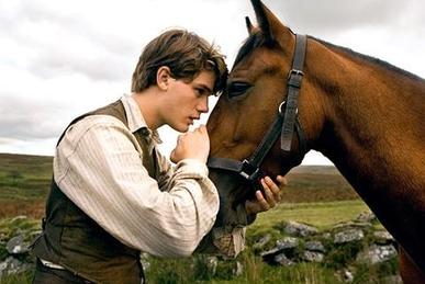 'War Horse' is not a war movie, Spielberg says