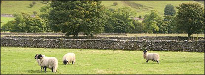 Farming in the UK 農(nóng)場營作