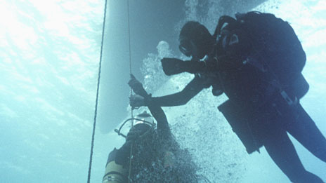 Protecting shipwrecks 保護(hù)沉船殘骸