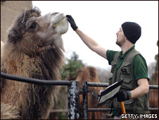 Zoo Stock Take 動物園盤點