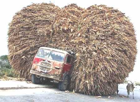 Over load truck