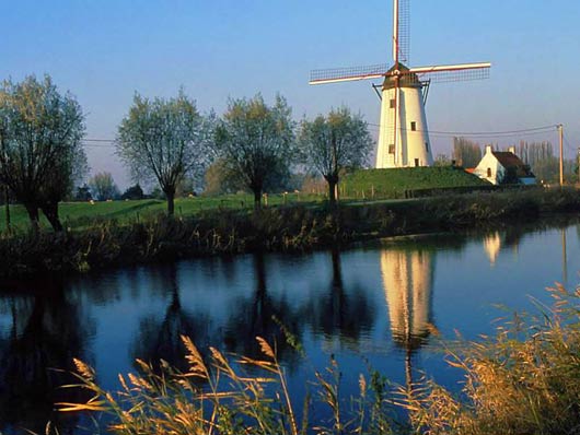 Patience! The windmill never strays in search of the wind.