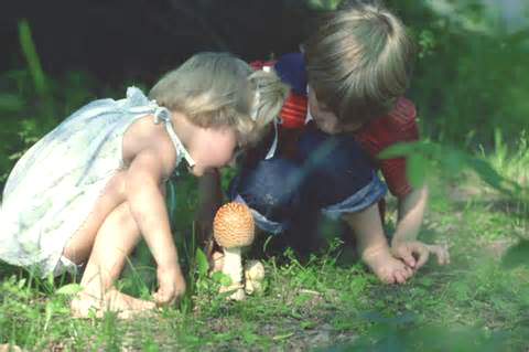 Just one in five children are connected to nature