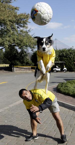 A dog plays soccer