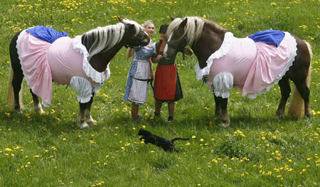 Horses dressed up by fashion designer