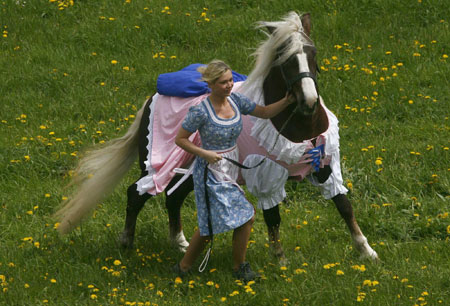 Horses dressed up by fashion designer