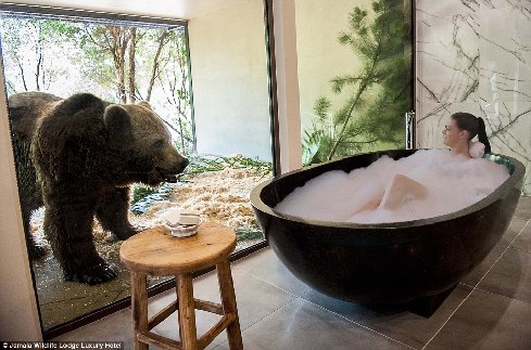 旅館？動物園？這是澳大利亞加馬拉野生動物旅館！