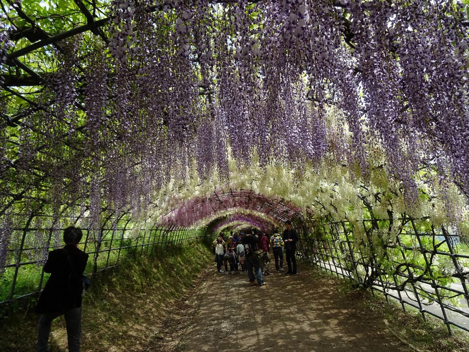 繽紛、靈動、斑斕：世界上最美的18座花園