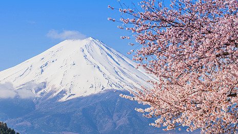 Free internet for Mount Fuji climbers 日本富士山向游客提供免費(fèi)無(wú)線網(wǎng)