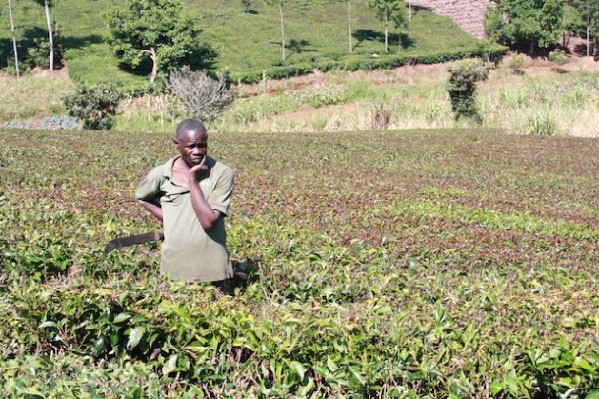 Farmers Brace for Climate Change