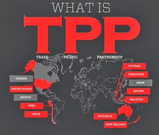 什么是“TPP”？