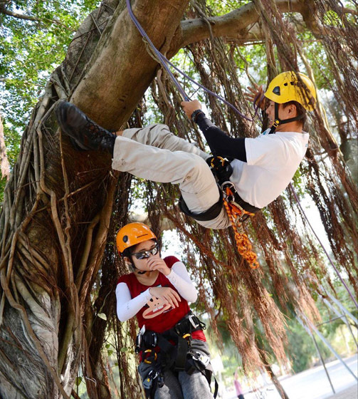 Climbing trees for sport