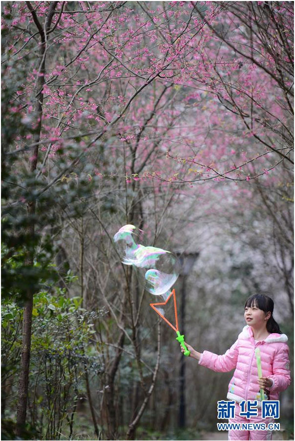 又到一年踏青時 花間春色惹人醉（組圖）