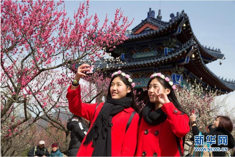 又到一年踏青時(shí) 花間春色惹人醉（組圖）