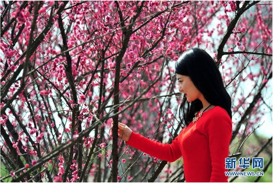 又到一年踏青時(shí) 花間春色惹人醉（組圖）