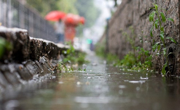 “雨水”到 拜丈人 拉保保