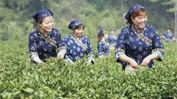 這十件事，杭州勝于上海（組圖）