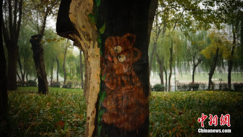 西安一公園現(xiàn)動物“樹洞畫” 惟妙惟肖引圍觀（組圖）