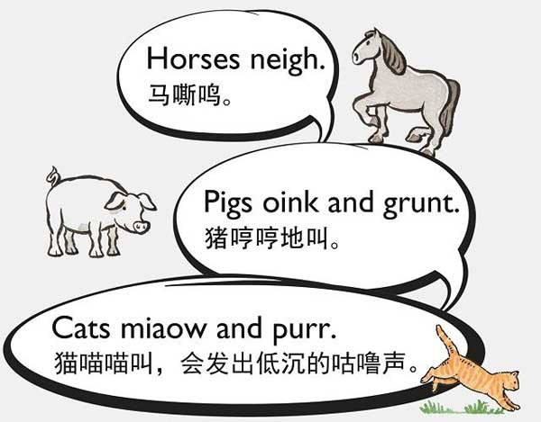 自然界中有各種聲音 如何用英語來描述動物的叫聲？