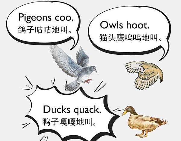 自然界中有各種聲音 如何用英語來描述動物的叫聲？