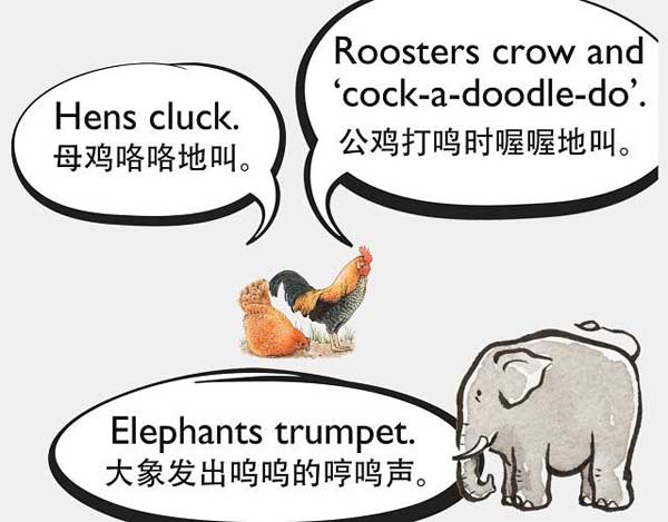 自然界中有各種聲音 如何用英語來描述動物的叫聲？