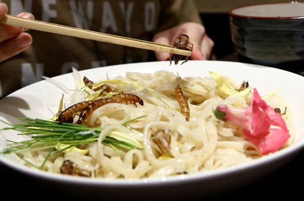 日本昆蟲拉面引食客捧場