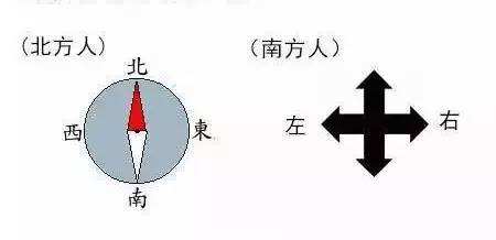 “南北差異”大討論：南方買(mǎi)菜買(mǎi)一頓，北方買(mǎi)菜買(mǎi)一噸？