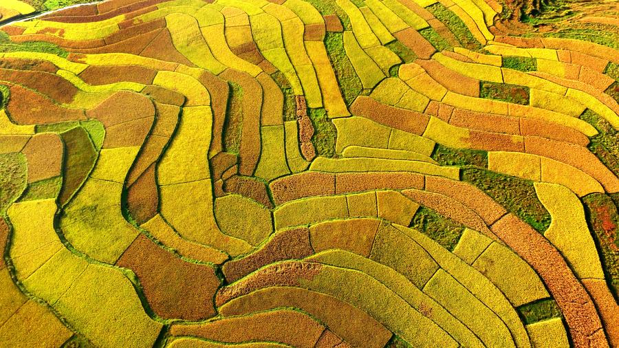 組圖：中國(guó)各地秋“色”美如畫