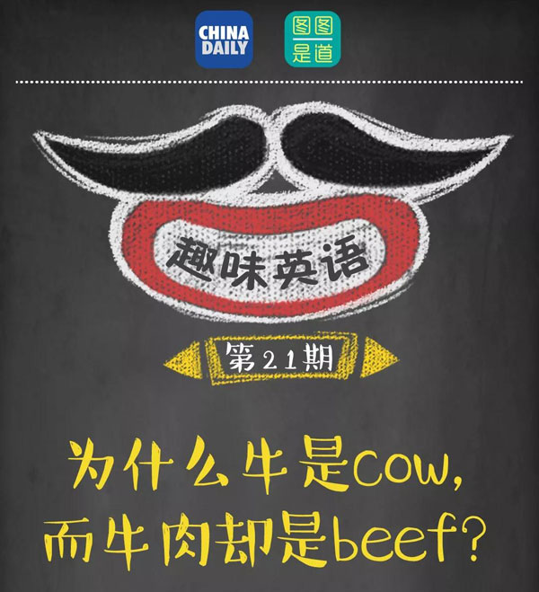 為什么牛是cow，而牛肉卻是beef？