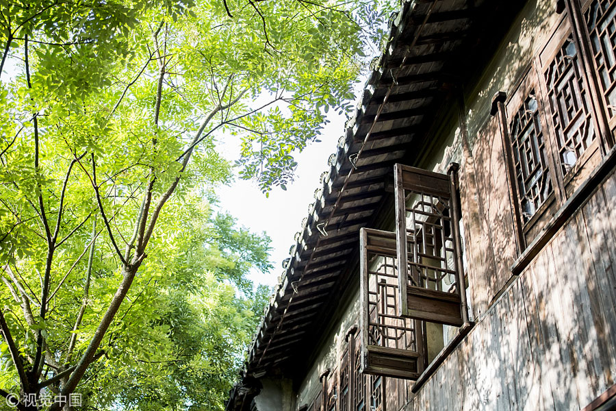 一夜薰風方覺夏深 古詩詞中尋夏日美景靜聽蟬鳴（組圖）