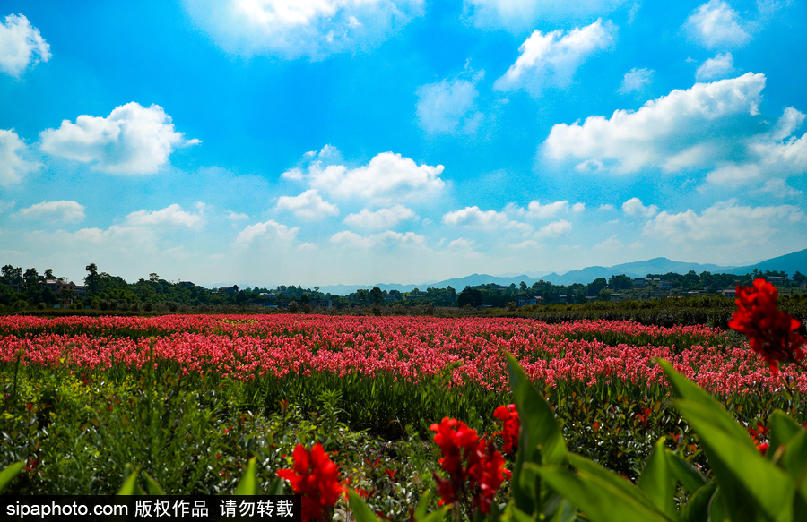 藍(lán)天白云刷屏！盤點(diǎn)風(fēng)清日朗的絕美風(fēng)光 為眼睛降溫