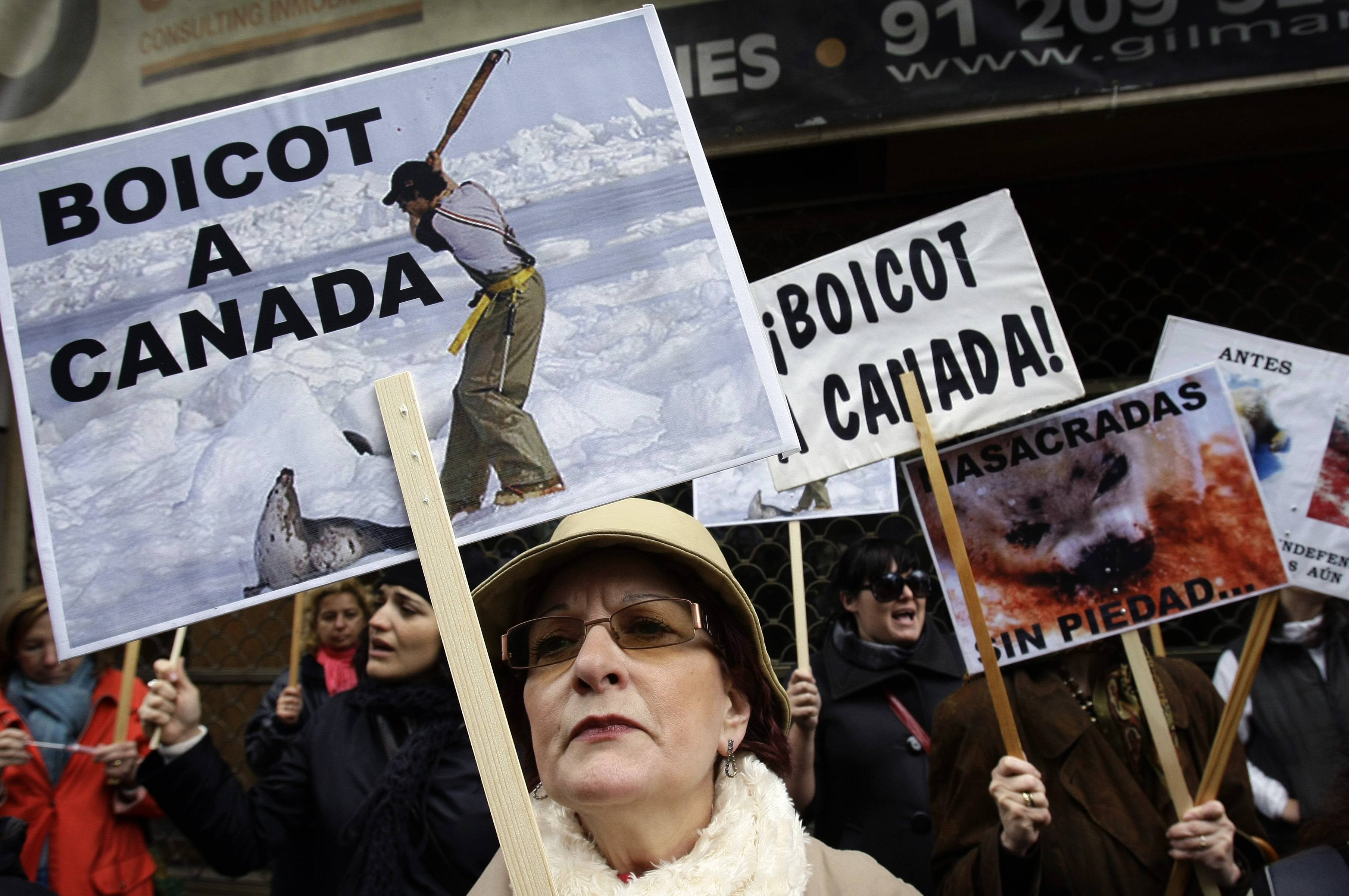 Protests against Canada's seal hunt