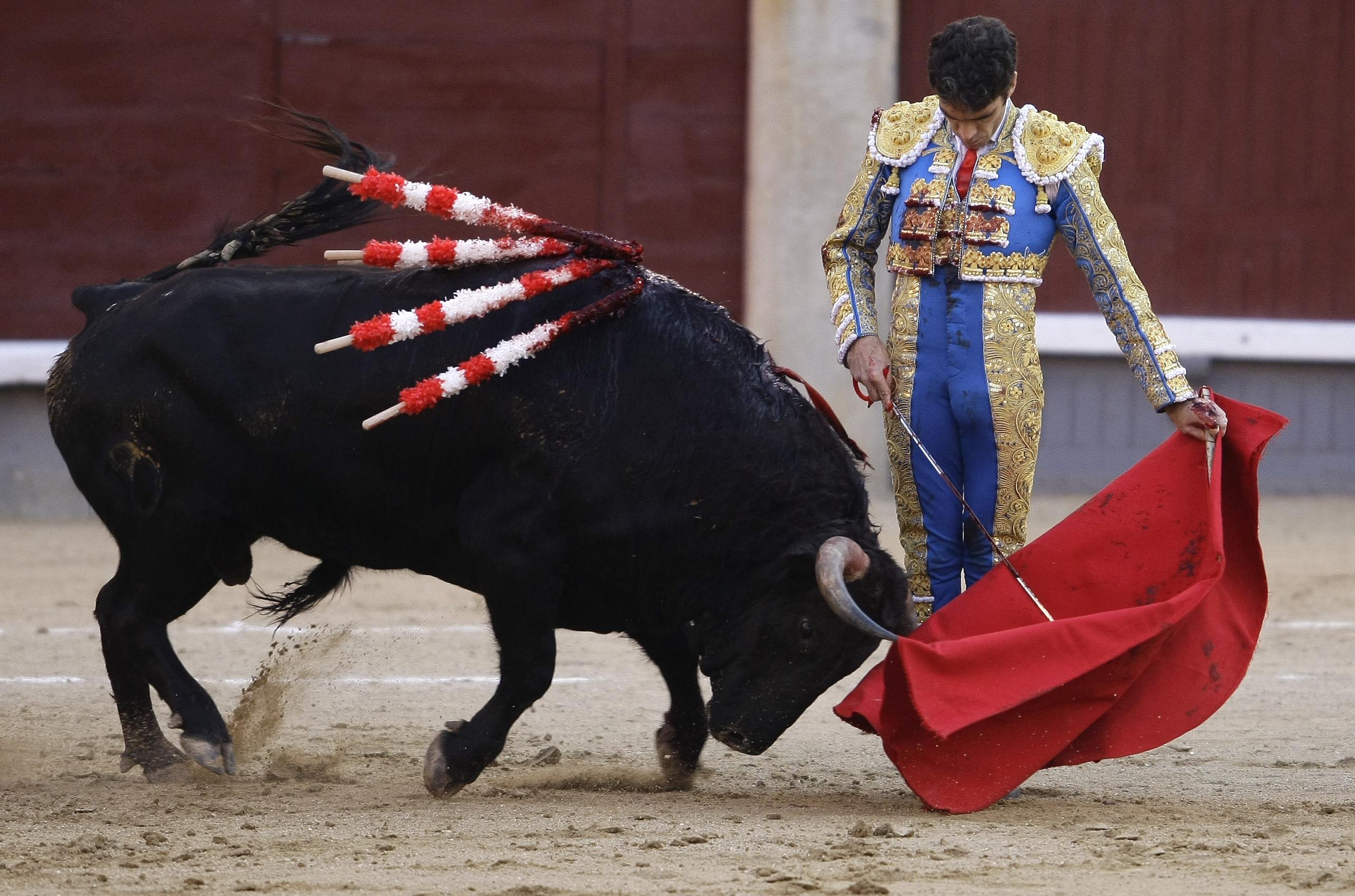 Bullfight in Madrid's Las Ventas bullring