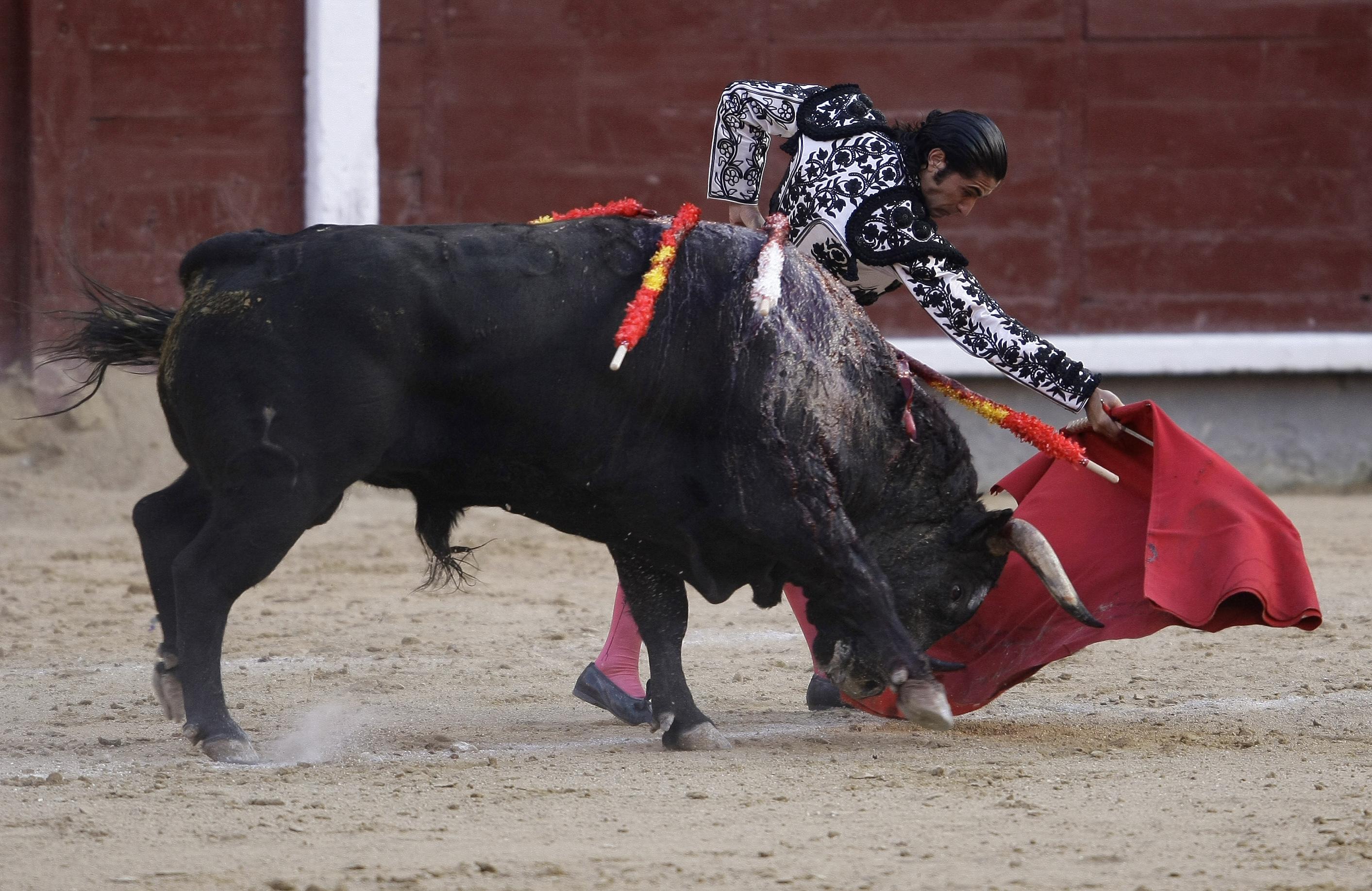 Bullfight in Madrid's Las Ventas bullring