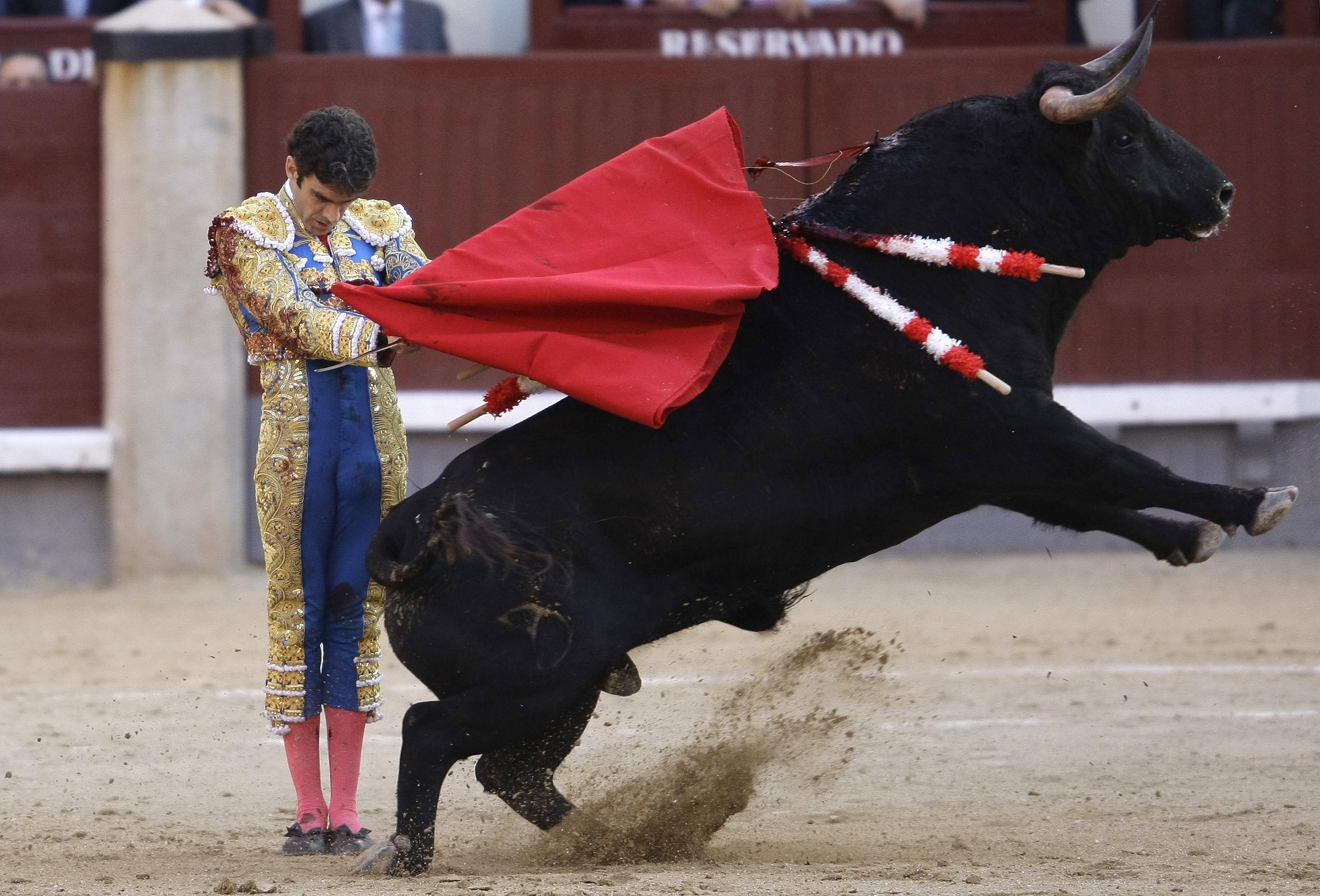 Bullfight in Madrid's Las Ventas bullring