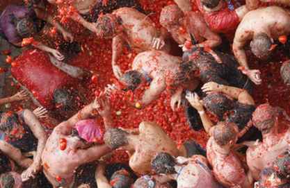 Fight, tomato fight