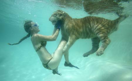 Girl plays with tigers underwater