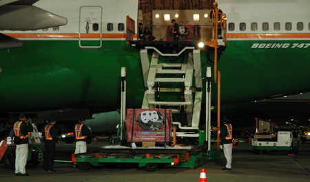 Panda pair arrive in Taiwan