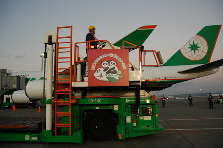 Panda pair arrive in Taiwan