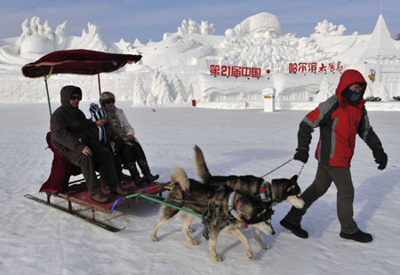 Ice sculptures displayed at Harbin Ice and Snow Festival