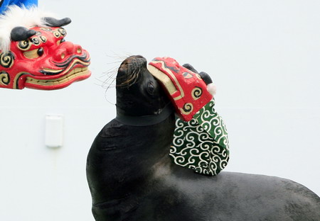 Sea lions add to New Year joy in Tokyo